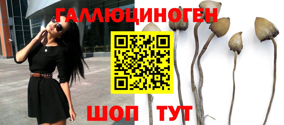 Галлюциногенные грибы Cubensis  Псилоцибиновые грибы MAGIC MUSHROOMS  Шарыпово  Вход с VPN 