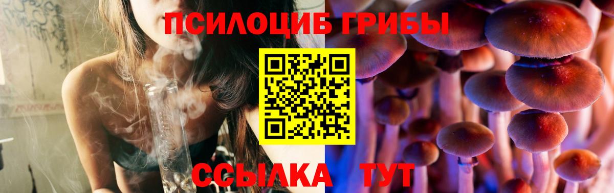Псилоцибиновые грибы Psilocybe Шарыпово